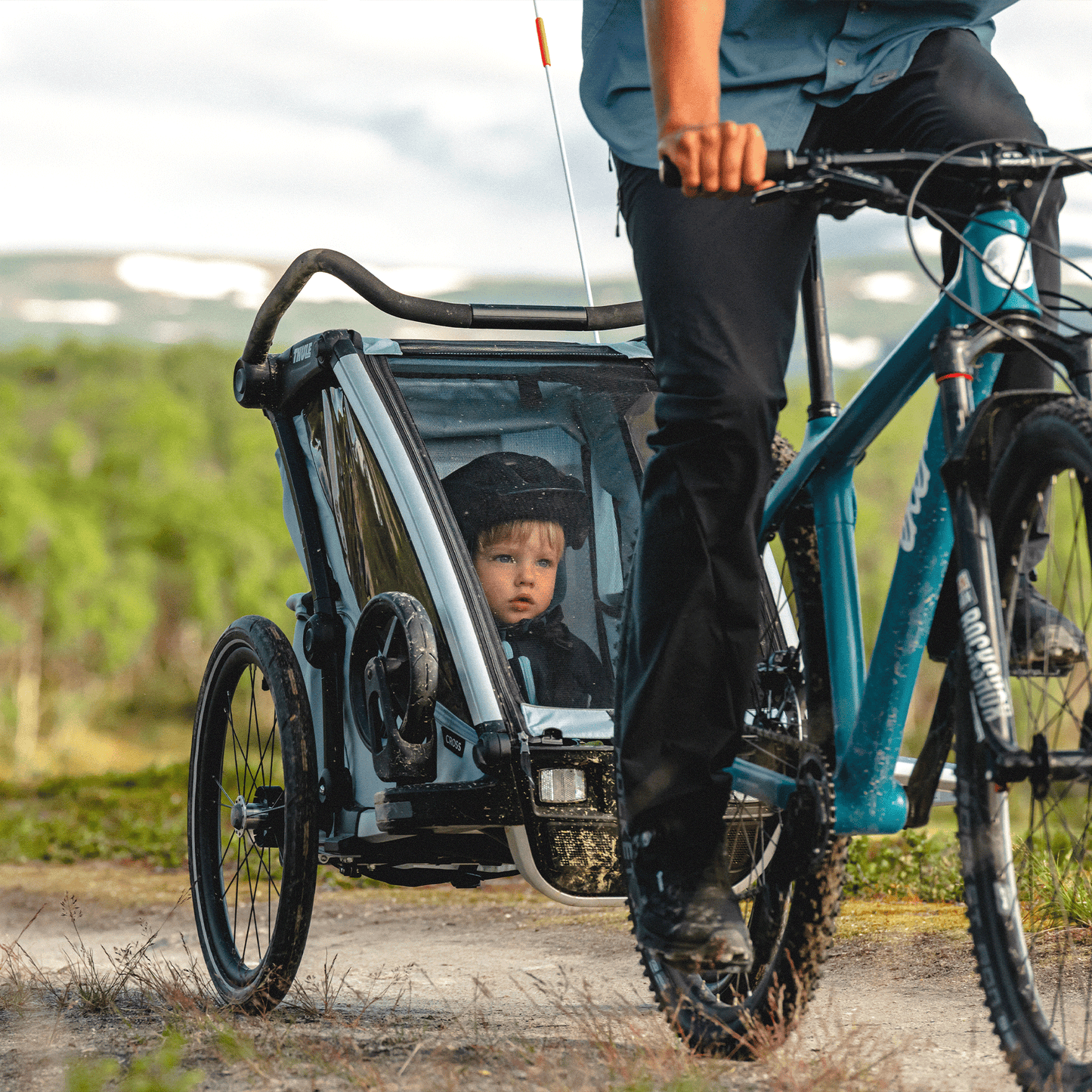 1-seat multisport bike trailer alaska blue