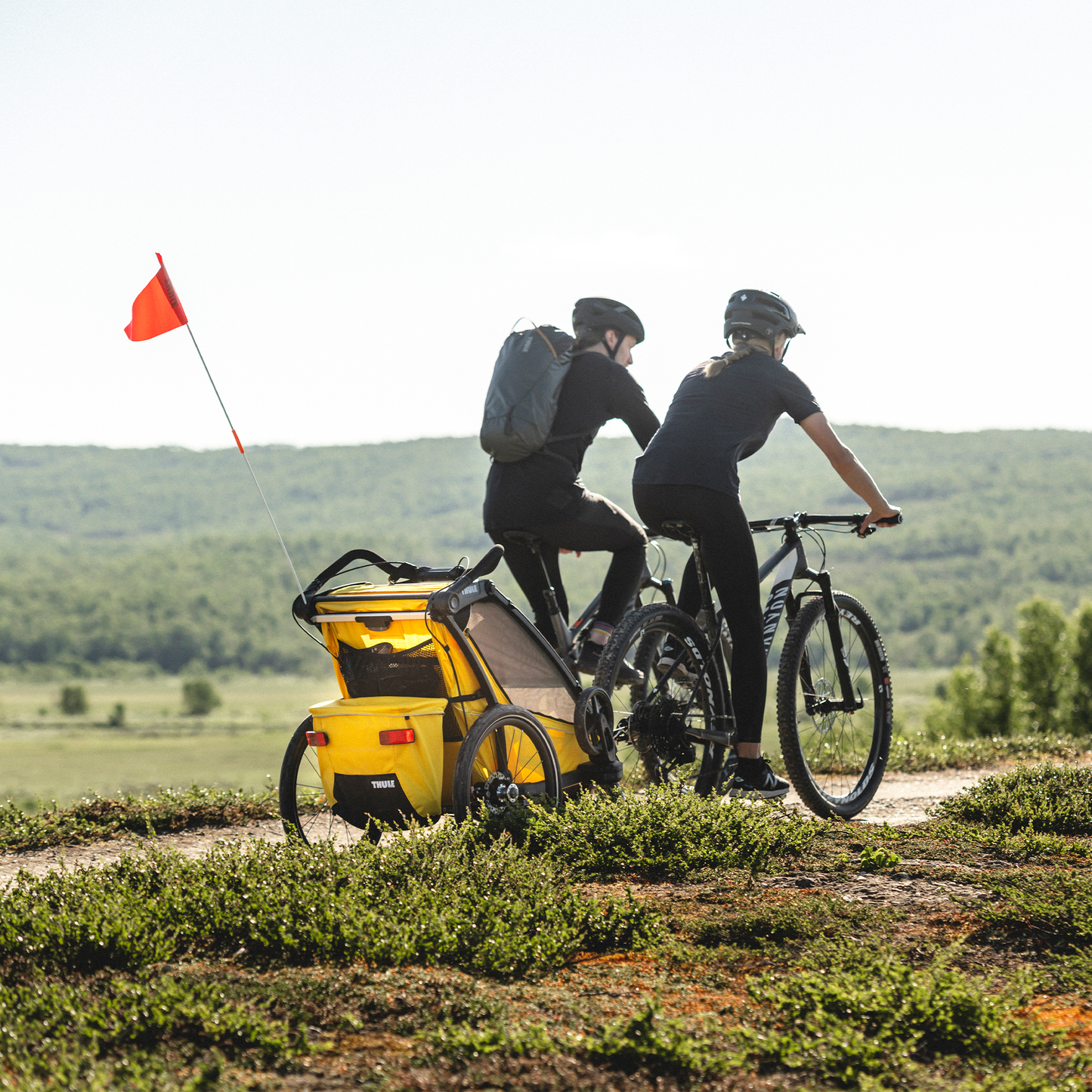 1-seat multisport bike trailer spectra yellow