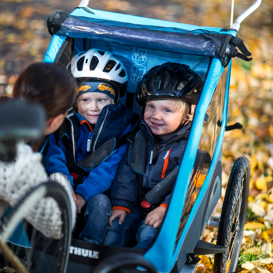 2-seat bike trailer black