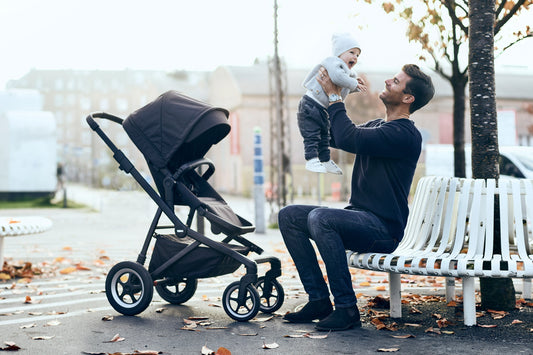 city stroller aluminium/shadow gray
