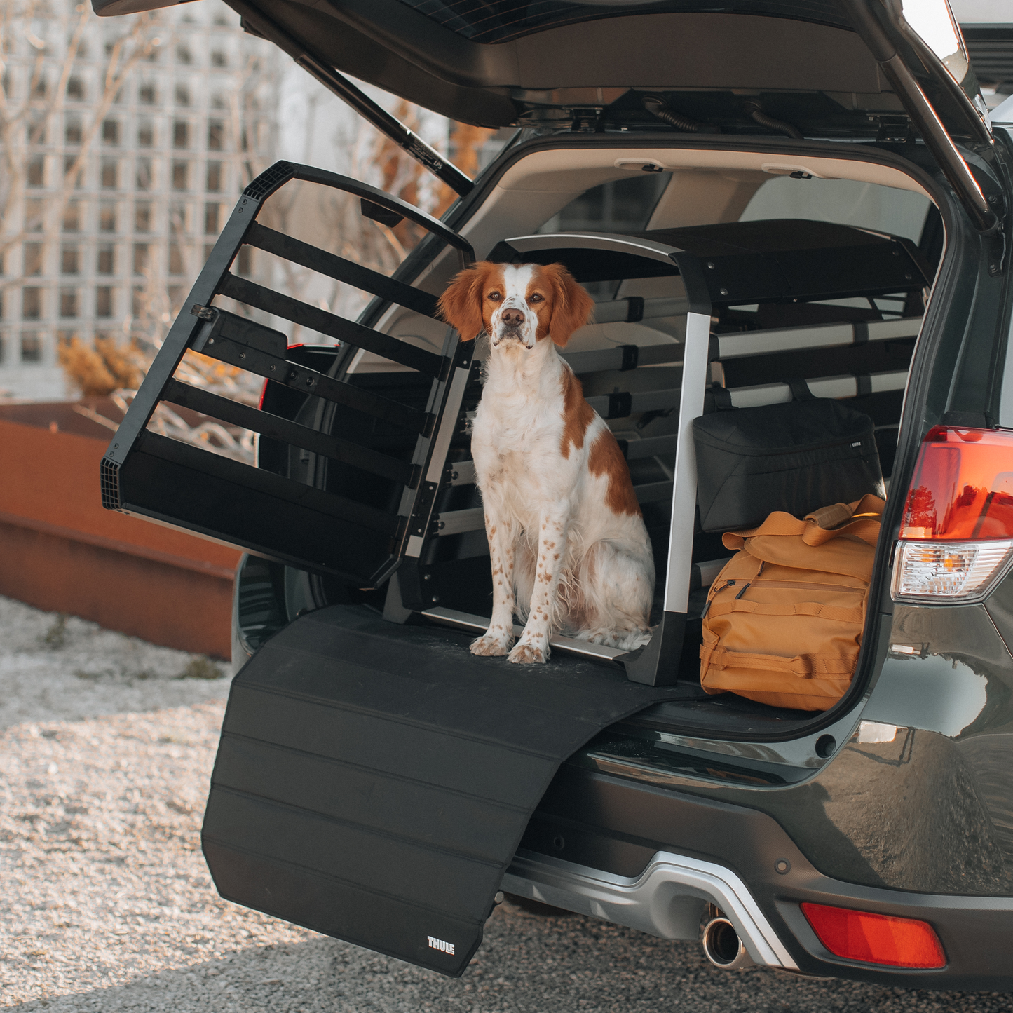 dog crate storage bag